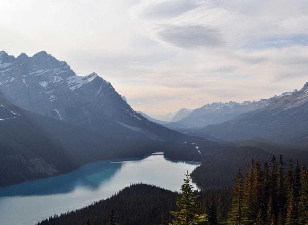 Spazio Bianco project